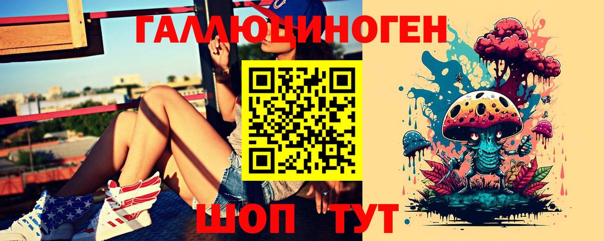 Корсаков  Галлюциногенные грибы Cubensis  Вход с VPN 